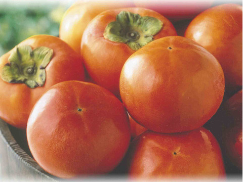 梨と柿（家庭用）セット　　日迎梨　約2.5ｋ＋富有柿　約3ｋ