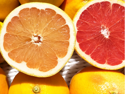 【果汁たっぷり】美浜町産グレープフルーツスタールビー＆ルビーレッド　ご家庭用合計4㎏