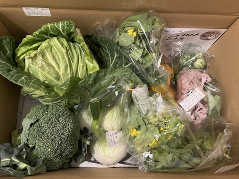 ❄☃️５品冬の野菜セット☃️❄