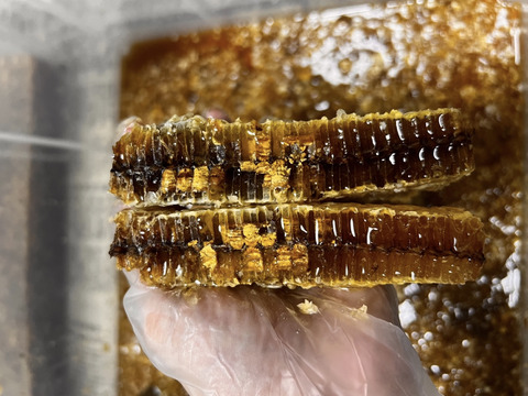 野生日本蜜蜂　花粉蜜【非加熱の生はちみつ】1個50g