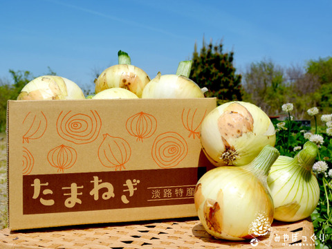 待たせたな 今だけだよ 淡路島産10kg新たまねぎ 兵庫県産の玉ねぎ 食べチョク 産地直送 産直 お取り寄せ通販 農家 漁師から旬の食材を直送