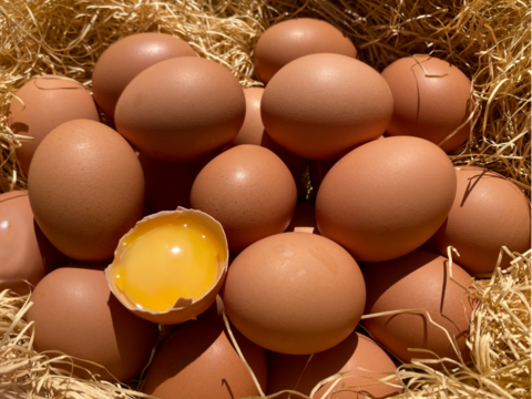 【大寒卵】無病息災・金運上昇の縁起物・平飼い養鶏卵『Bon-TAMA』M~Lサイズ（30個入り）