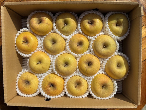 小玉はるか！【スマートフレッシュりんご家庭用約3ｋｇ】（玉数指定不可）