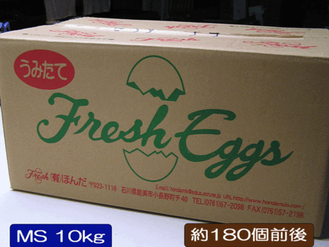 たまご 玉子 卵 10kg 白玉 1箱 MSサイズ エッグ EGG