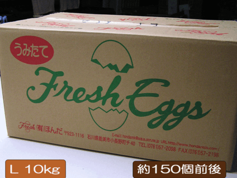 たまご 玉子 卵 10kg 白玉 1箱 Lサイズ エッグ EGG