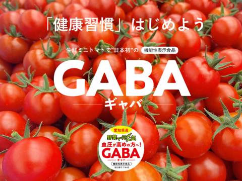 🍅血圧が高めの方へ！☀生鮮ミニトマトで日本初の【機能性表示食品】野菜で元気「GABAミニトマト」　容量：2.6kg（130gパック×20個入）