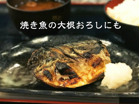 農薬・除草剤・化学肥料不使用 訳あり 超ミニ大根【葉っぱ付き】 1本 石川県産