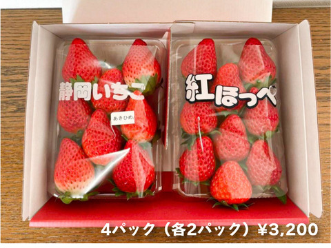 石垣栽培で太陽をいっぱい浴びた久能の生いちご4パック あきひめ 紅ほっぺ各2パック 静岡県産の果物 食べチョク 産地直送 産直 お取り寄せ通販 農家 漁師から旬の食材を直送 石垣栽培で太陽をいっぱい浴びた久能の生いちご4パック あきひめ 紅ほっぺ各2パック 静岡県産の果物 食べチョク 産地直送 産直 お取り寄せ通販 農家 漁師から旬の食材を直送