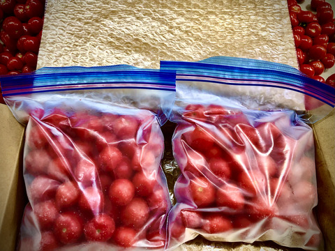 2箱セット☆【ワレない冷凍ミニトマト】"ももちゃんトマト"(2kg)