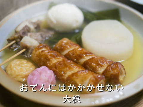 農薬・除草剤・化学肥料不使用 訳あり 超ミニ大根【葉っぱ付き】 1本 石川県産