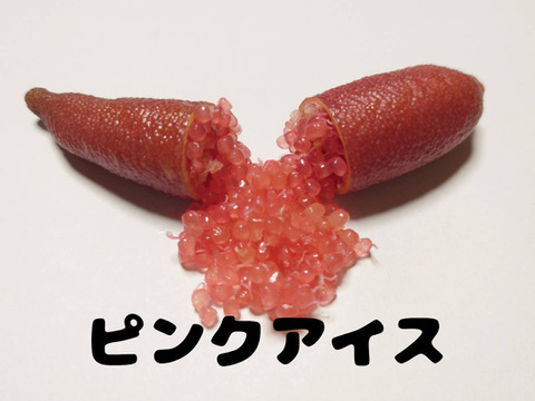 フィンガーライム三色セット！赤橙黄 フィンガーライム3種お試しセット④（3〜4本）50g：長野県産のみかん
