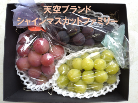 【希少 食べ比べ】牧丘天空の丘ブランド　皮ごと食べられる３色セット約1kg