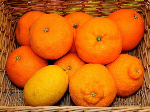 冬越し熟成！不知火（でこ丸）3.5㎏箱入り