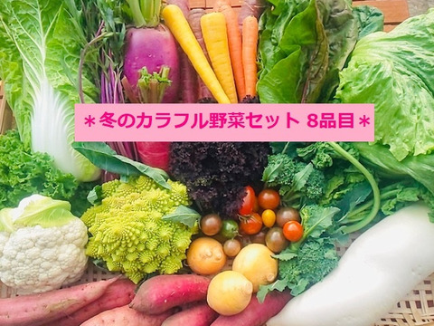 *新鮮朝採り*たてやまかおり菜園の『3月のカラフル野菜セット8品目』