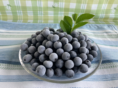 【今夏、最後の出品です！】大粒　冷凍ブルーベリー　1.5kg 品種ミックス　アイス好きな方におススメです。