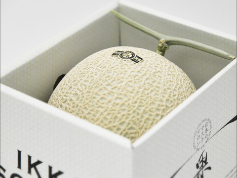 【MEGAビッグ】マスクメロン1玉2kg以上