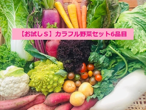 【お試しS】たてやまかおり菜園の『冬のカラフル野菜セット6品目』
