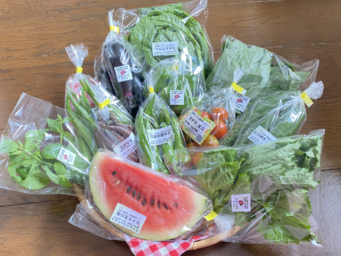 【自然栽培🍀100サイズ】お野菜大好き家族のための旬菜セットL【7品目以上】