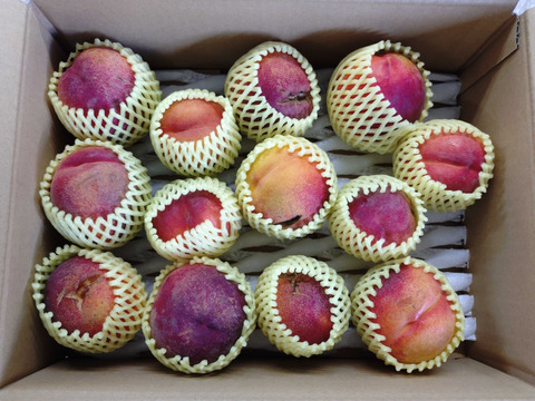 【加工用】ワッサー 約2.8kg(5-15玉)  硬めの食感が大人気！酸味の効いた長野生まれの桃です#NPW0K028