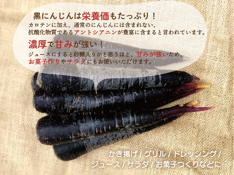 旬彩オーガニック人参食べ比べセット