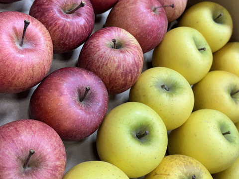 【極小玉・バラ詰め】サンふじ＆シナノゴールド🍎💛家庭用約5Kg🍎💛ハーフセット　毎日りんご　コスパ抜群　青森県産　数量限定