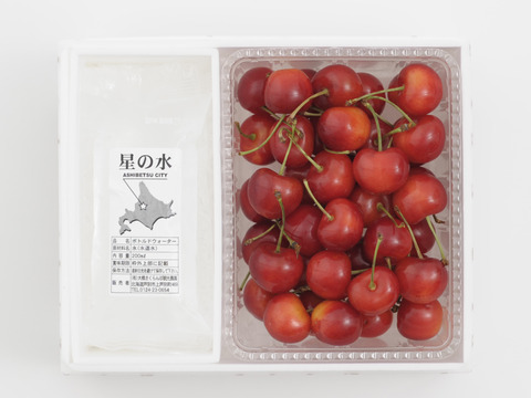 紅秀峰500ｇ【予約販売】北海道・芦別産【大橋さくらんぼ園】7月中旬頃～発送予定