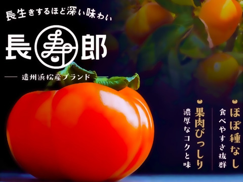 【冬ギフトお歳暮用！】長生き次郎柿『長寿郎』大きい3Lサイズ6玉入り