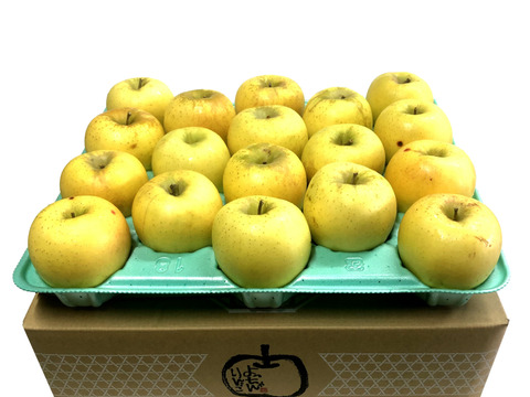 セール 国内 シナノゴールド💛家庭用約4.5Kg🍏青森県産 数量限定：青森県産の 果物