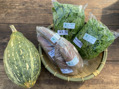 有機JAS認証☆季節のおまかせ野菜セット【約3㎏】