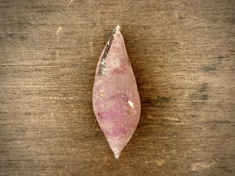 【肥料農薬を知らない】自然栽培サツマイモ（1.8kg）