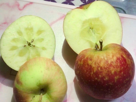 【青森県弘前市産葉とらずふじ】果汁100％ストレートりんごジュース3本入