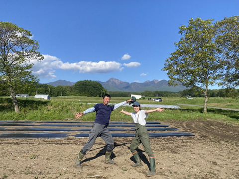 【栽培期間中：農薬不使用】季節の彩り野菜セット　Lサイズ