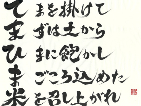 【お米のギフト（贈答用）】おまかせ2種セット 2kg（1㎏×2）『てまひま米』