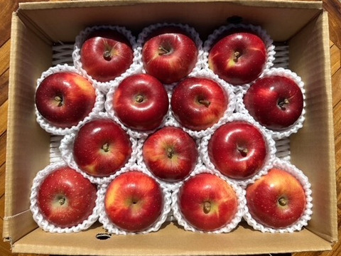 小玉べにこはく！【スマートフレッシュりんご家庭用約3ｋｇ×2箱】（玉数指定不可）