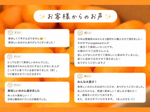 【もう1個だけの無限ループ】暁みかん3kg×2箱　S〜Lサイズ　11月中旬頃発送開始！【愛媛県産】
