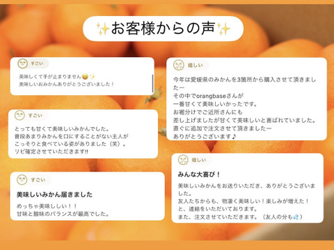 【もう1個だけの無限ループ】暁みかん5kg×2箱（小玉サイズ）【冬ギフト】【愛媛県産】