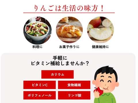 【200円引き中！】りんご ふじ 家庭用 約16から20玉 スッキリ美味しい 5kg  さんふじ リンゴ スイーツ 果物 リンゴ フジ サンふじ 秋田