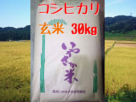 令和５年産 コシヒカリ 玄米 30kg【金沢いやさか米】