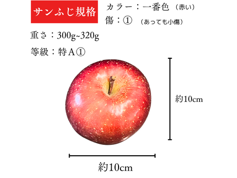 【訳あり】りんご ふじ  サンふじ 家庭用 10キロ 32～36玉 スッキリ美味しい 3kg  さんふじ リンゴ スイーツ 果物 安い 秋田
