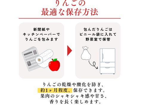 【貯蔵リンゴ】ふじ サンふじ  約8〜10玉 3キロ 希少 発送 りんご 雪室 秋田 雪 甘い 雪中貯蔵 長期保存りんご りんごの効能 Apple 母の日 ギフト フルーツ 家庭用