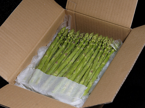 【森のアスパラ】ジューシーな佐賀県産！極太 L~2Lサイズ・800g