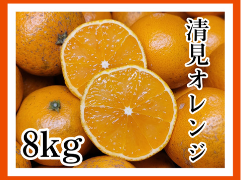 【清見オレンジ 8kg】サイズ混合小玉多め　和歌山県有田市　産地直送