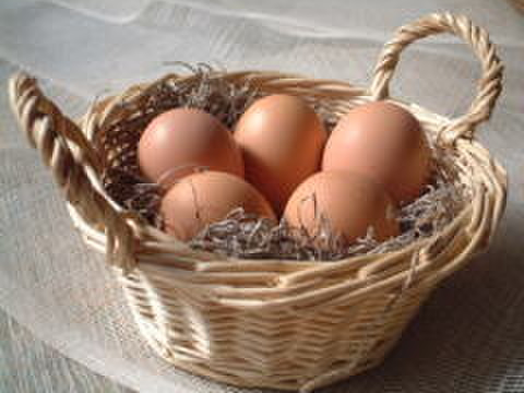 美野里たまご 卵 玉子 たまご 玉子 10個入り 3パック 卵