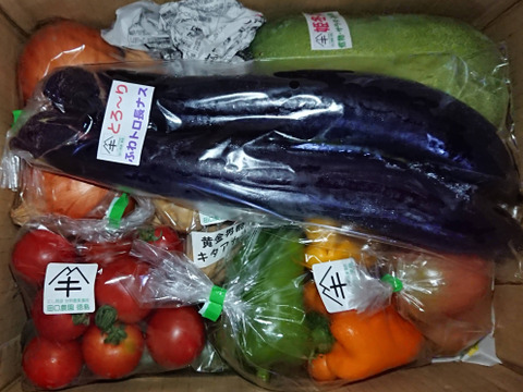 たまきちさん専用

田口農園徳島「イチオシ旬野菜セット」
『カボチャ1個、ふわとろ茄子5本、フルティカ１キロ、玉ねぎ6個（約1.5Kg）、ミニきゅうり5本』