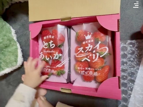 摘みたて直送！大粒！厳選 スカイベリー、とちあいか（2パック）【いちご食べ比べ】
