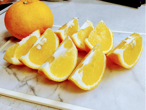 鹿児島県産「甘夏みかん」家庭用箱込み10kg