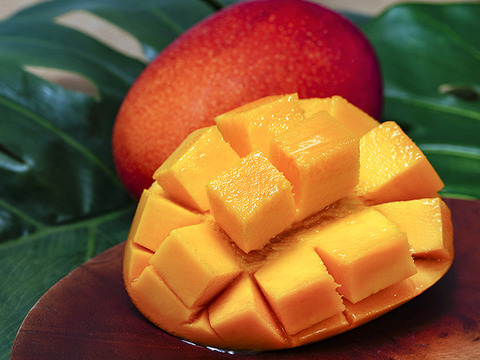 南国の太陽をたっぷり浴びて育ったとろける甘さのアップルマンゴー『アルメゴールド』