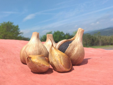 【天日干しにんにく使用】青森県十和田市産黒にんにく 450g（12〜21玉前後）