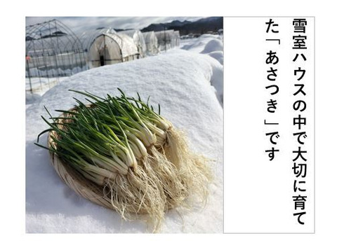 セリ、アサツキ、春菊のセット＜セリ200g/アサツキ200g/春菊500g＞ 【冬ギフト】