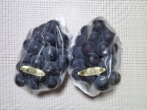 ✨🍇今が旬の露地栽培巨峰✤種有無混🍇✨
　　　巨峰４〜５房/中サイズ約1.7kg位